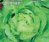 Семена Салата «Доллар» (кочанный)