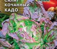 Семена Салата «Кадо» (кочанный)