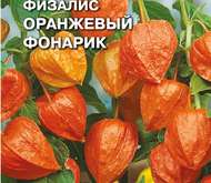 Семена цветов ФИЗАЛИС ФРАНШЕ «ОРАНЖЕВЫЙ ФОНАРЬ»