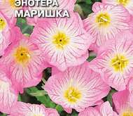 Семена цветов ЭНОТЕРА «МАРИШКА»