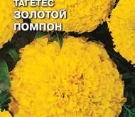 Семена цветов Тагетес «Золотой Помпон»