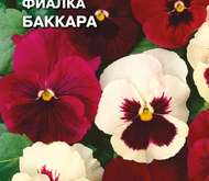 Семена цветов Фиалка «Баккара»  (смесь)