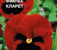 Семена цветов Фиалка «Кларет»  Швейцарский гигант