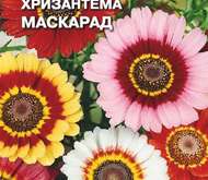 Семена цветов Хризантема «Маскарад»