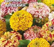 Семена цветов Цинния «Арлекин»
