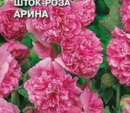 Семена цветов Шток-роза «Арина»