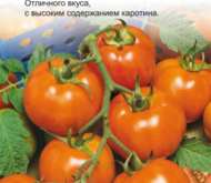 Семена томата Дина УГ