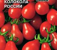 Семена томата Колокола России