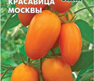 Семена томата Красавица Москвы