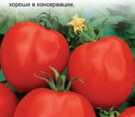 Семена томата Маруся УГ