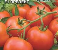 Семена томата Презент F1