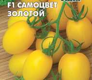 Семена томата Самоцвет Золотой F1  з/г