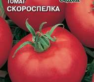 Семена томата Скороспелка о/г