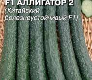 Семена ОГУРЕЦ  АЛЛИГАТОР 2 F1
