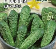 Семена ОГУРЕЦ  Верный дружок F1