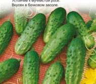 Семена Огурец «ПАРАД» УГ