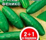 Семена Огурец «ФЕНИКС» (серия 2+1)
