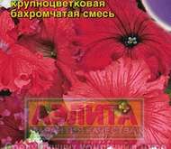 Семена цветов Петунии Русская Красавица крупноцветковая бахромчатая, смесь окрасок