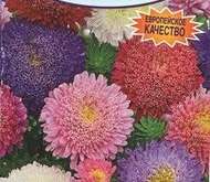 Семена Астры Принцесса, смесь окрасок