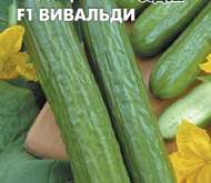Семена ОГУРЕЦ «ВИВАЛЬДИ»  F1