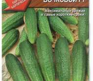 Семена Огурец Бочковой F1 (цветной пакет)