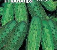 ОГУРЕЦ «КАНАЛЬЯ» F1