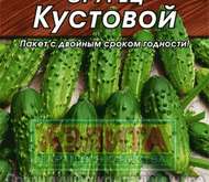 Семена Огурец Кустовой (цветной пакет)