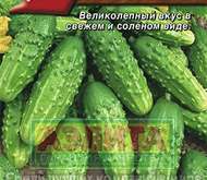 Семена Огурец Нежинский (цветной пакет)