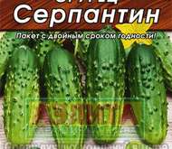 Семена Огурец Серпантин (Лидер)