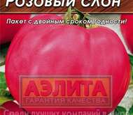 Розовый Слон Томат Фото
