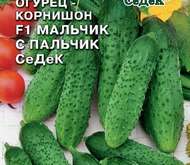 Семена ОГУРЕЦ «МАЛЬЧИК С ПАЛЬЧИК» СЕДЕК F1