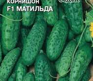 Семена ОГУРЕЦ «МАТИЛЬДА» F1