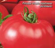 Семена томата Фаворит -  Р (цветной пакет)