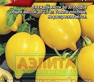 Семена томата Цитрусовый сад -  Р ® (цветной пакет)