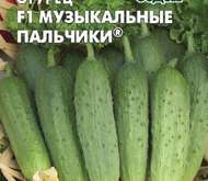 Семена ОГУРЕЦ «МУЗЫКАЛЬНЫЕ ПАЛЬЧИКИ» F1