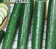 Семена ОГУРЕЦ «МУСТАФА» F1