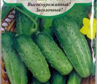 Семена ОГУРЕЦ «НЕЖИНСКИЙ»