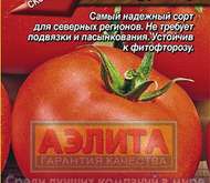 Семена Томата Дубрава -  Р (цветной пакет)