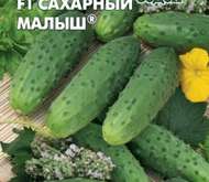 Семена Огурец «САХАРНЫЙ МАЛЫШ» F1