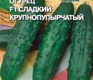 ОГУРЕЦ «СЛАДКИЙ КРУПНО-ПУПЫРЧАТЫЙ» F1