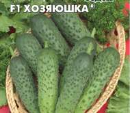 Семена Огурец «ХОЗЯЮШКА» F1