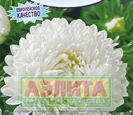 Семена Астры Вирджиния -  Одн (цветной пакет)