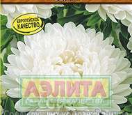 Семена Астры Королева сада белая -  Одн Новинка (цветной пакет)