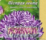 Семена Астры Пестрая лента -  Одн Шед. (цветной пакет)