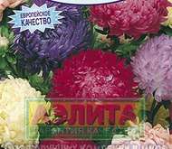 Семена Астры Пионовидная, смесь окрасок -  Одн (цветной пакет)