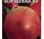 Семена свеклы Кубанская Борщевая
